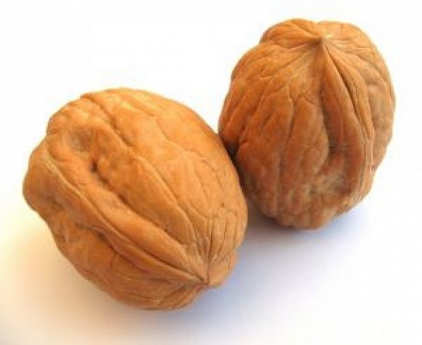 walnut_2890342